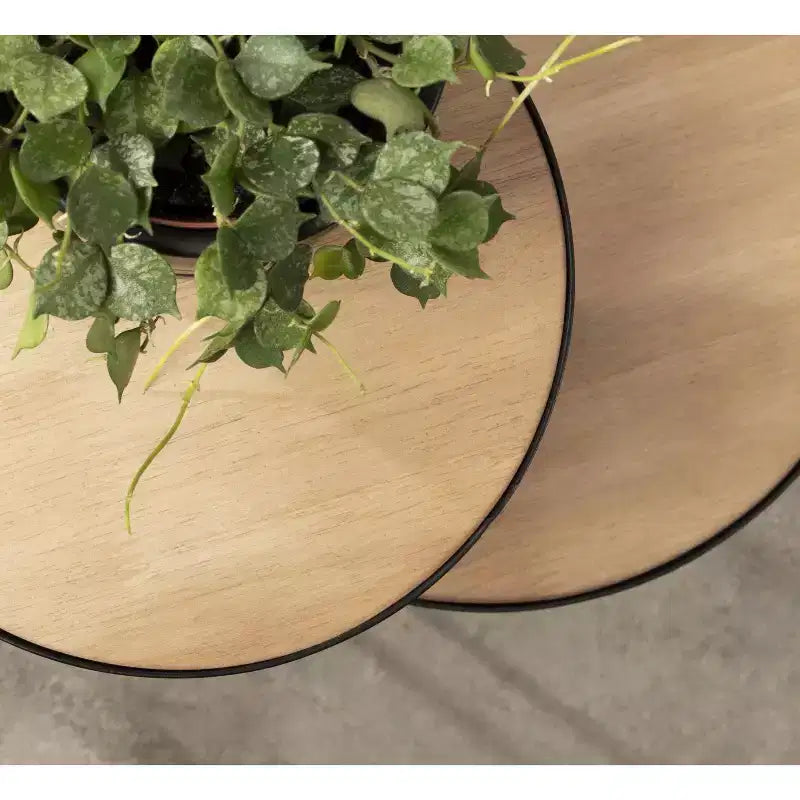 Lettino singolo con rivestimento in velluto a coste e cassetti portaoggetti – Design 2 in 1